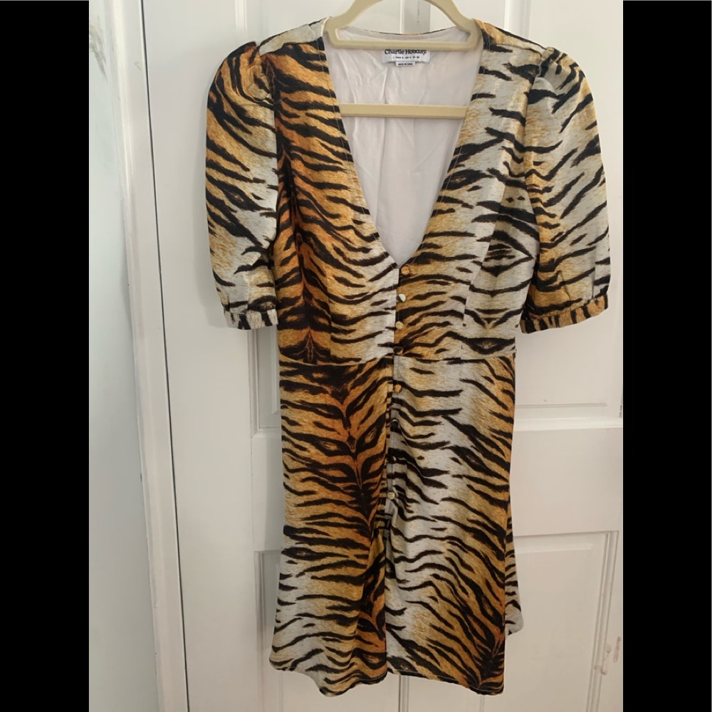 Cheetah print Fit and flare vneck dress